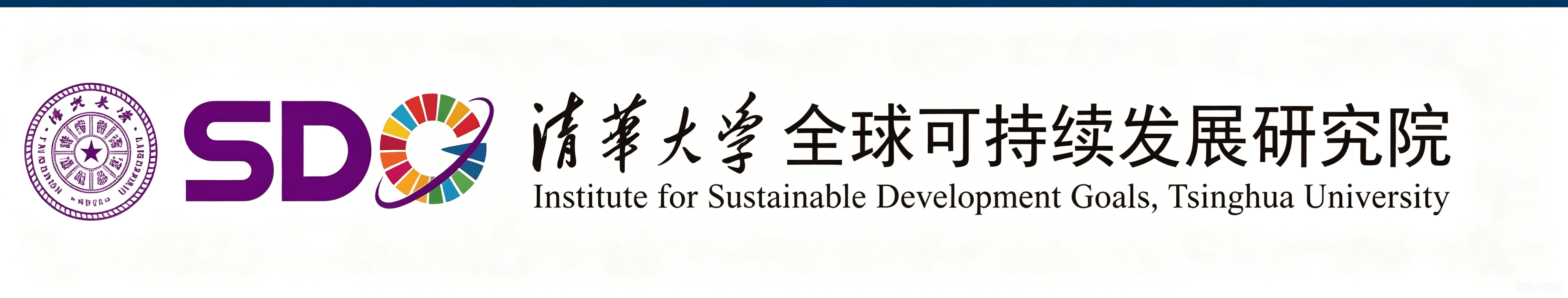 Tsinghua University Institute of Sustainable Development